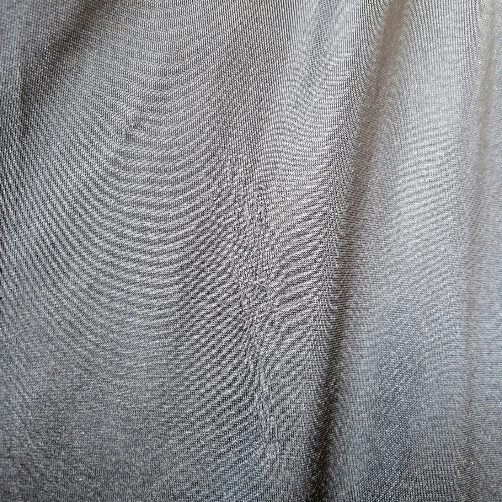Saia – photo 4